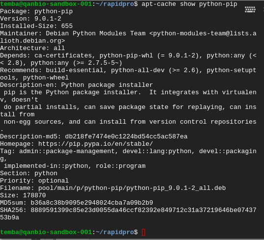 Verifier python install